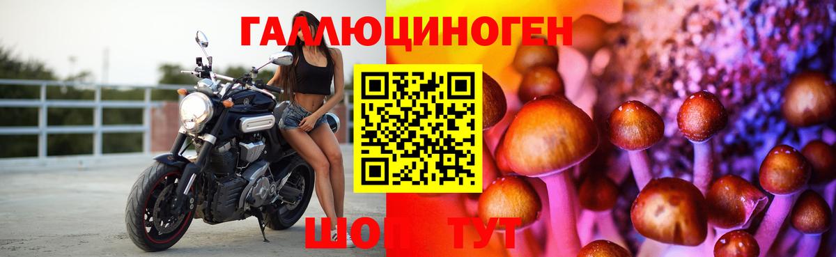 Псилоцибиновые грибы Psilocybe  где продают наркотики  Лесозаводск  Вход с VPN 
